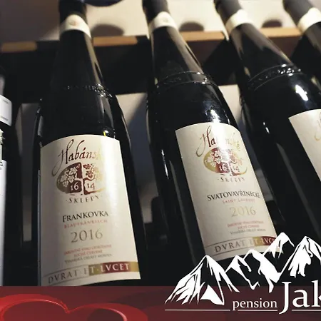 Maison d'hôtes Jakub